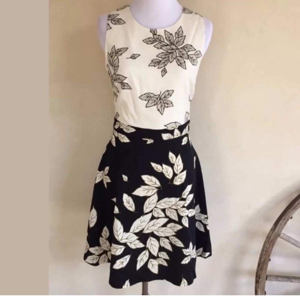 ZARA BASIC Black Cream Razor Back Dress Size “L”